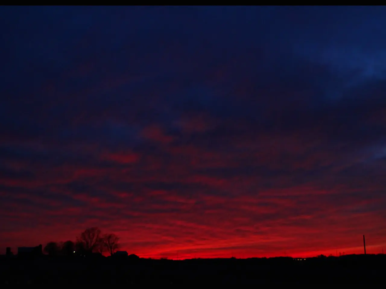 Trees Showcasing Stunning Autumn Hues with Intense Leaf Colors During Fall Season