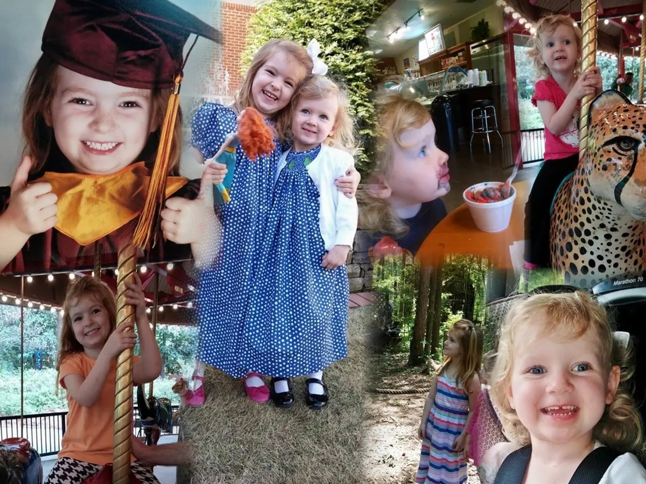 Adopts Implementing Acts According to Article 5 (2) Directive