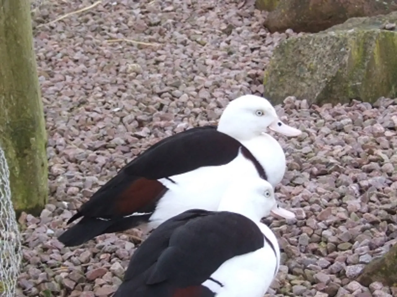Uncovering Agates Along the Coastlines of Cornwall, England