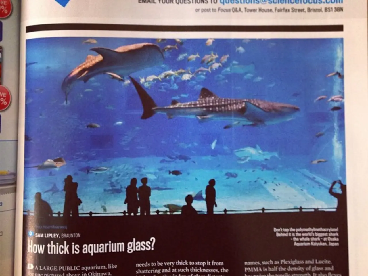 Ancient marine species classified as 'living fossils' - among the earth's primordial animals