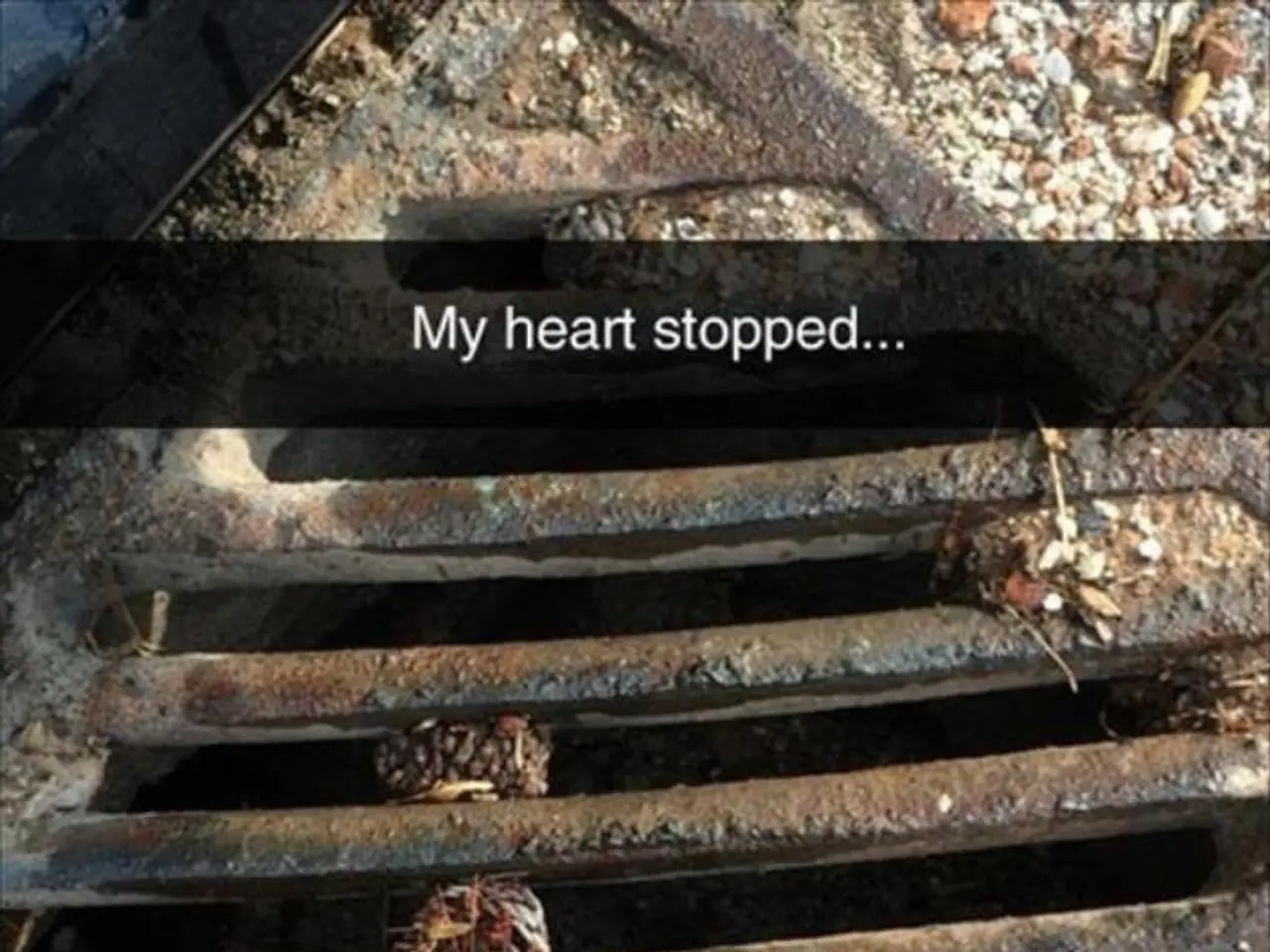 Heart Valve Swap-Out: Procedures, Risks, and Further Details