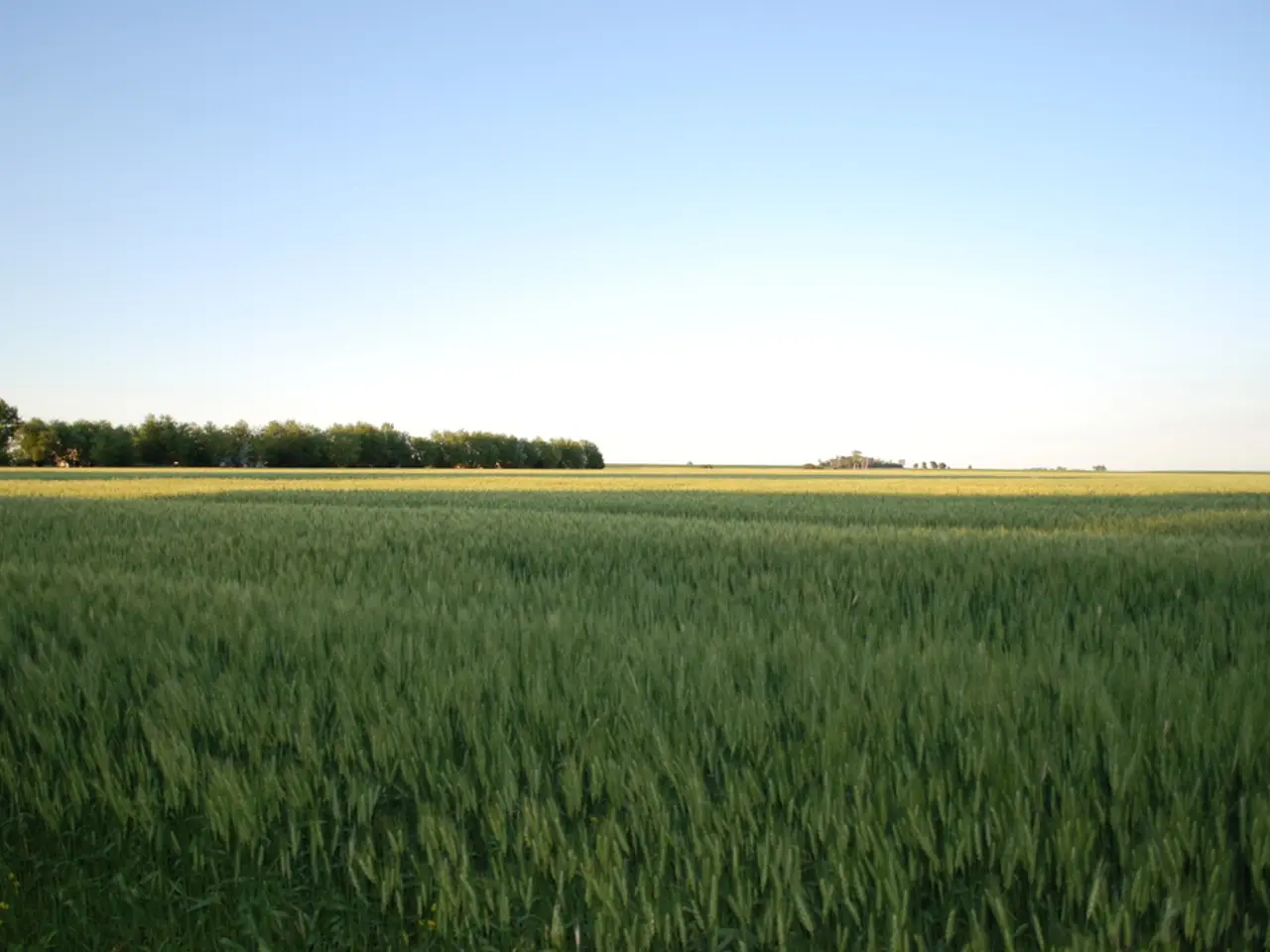 Exploring the Tastes of County Roscommon: A Culinary Exploration for Food Enthusiasts