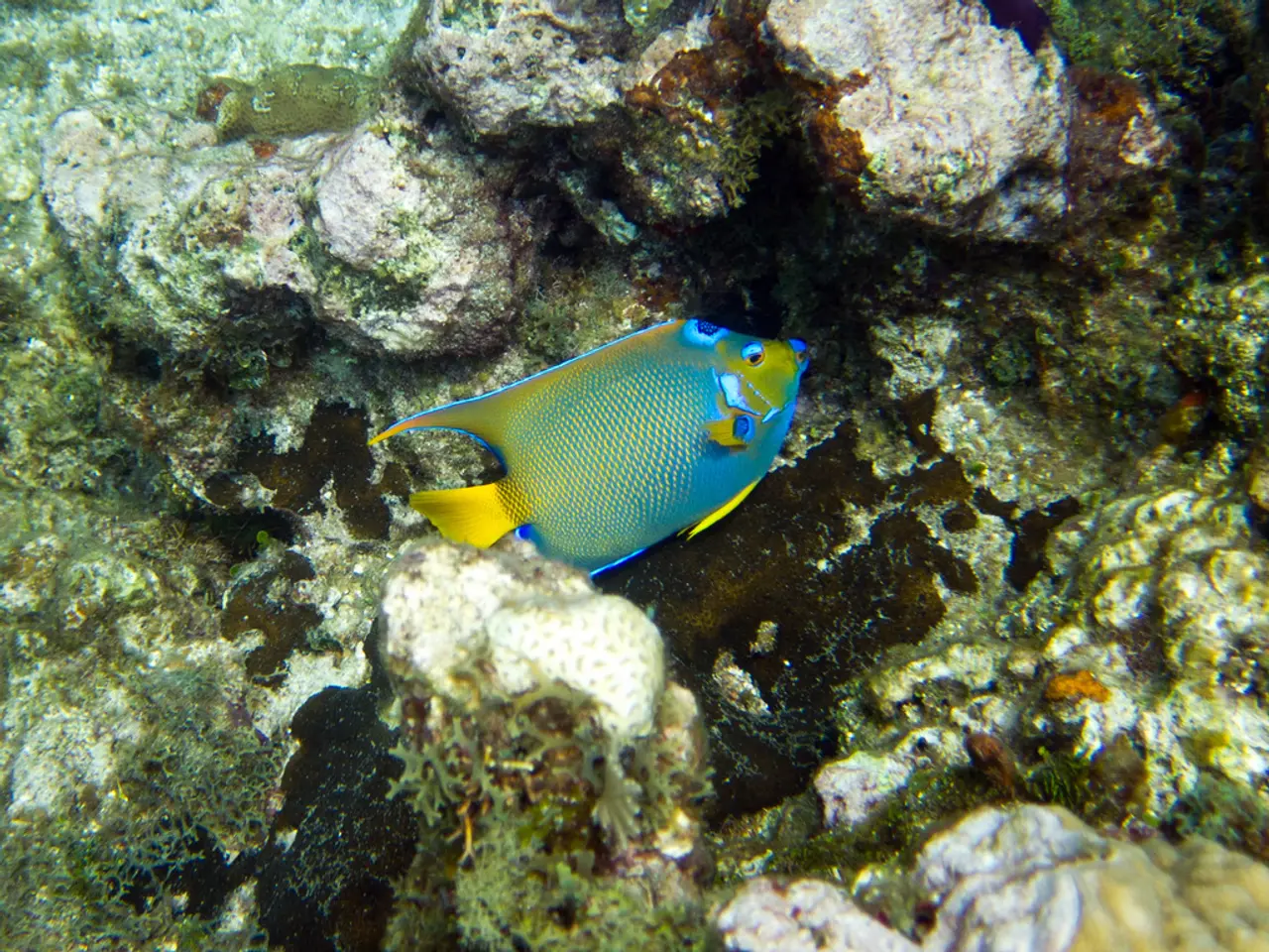 Exploration of the Extensive Landscapes in the Andaman Islands