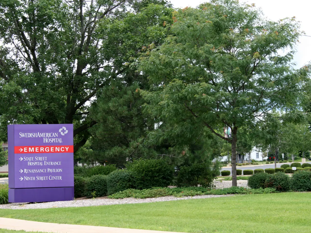 Autumn hues grace Asheville: Discover the attractions and activities for this season's foliage...