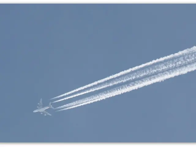 Flight forced to touch down in Munich, disrupting plans.