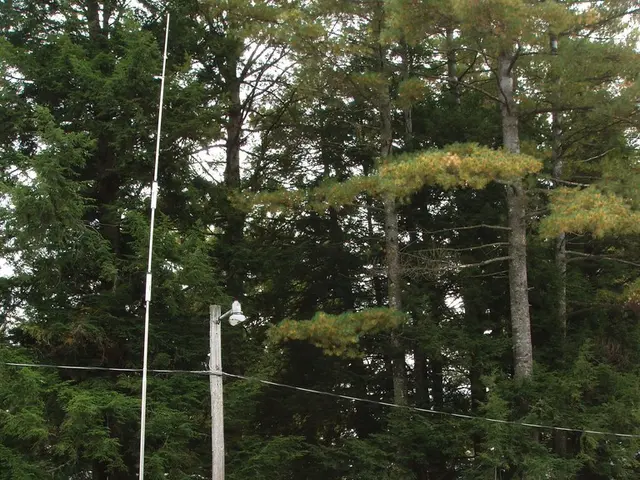 Buyer of Used Vans Implicated in Sterling Eccles Quartz Scandal (2011)