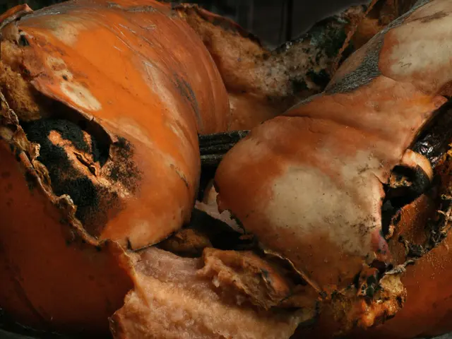 Butchers in France closing due to a string of illnesses among children