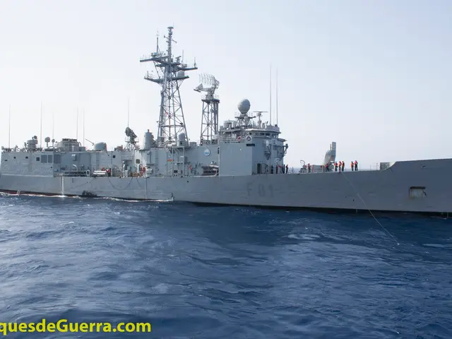 Comprehensive Insight into the Regal Princess: An Unbiased Evaluation