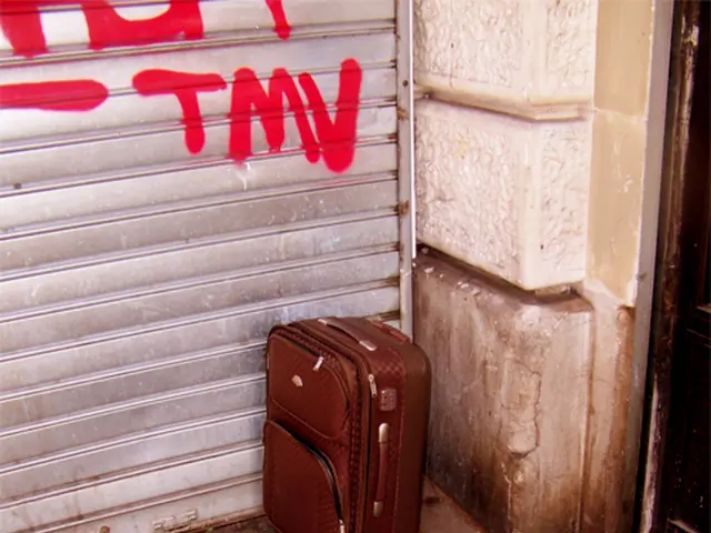 Comparing the Advantages and Disadvantages of Carrying Luggage with Low-Cost Carriers: Is It Worth...