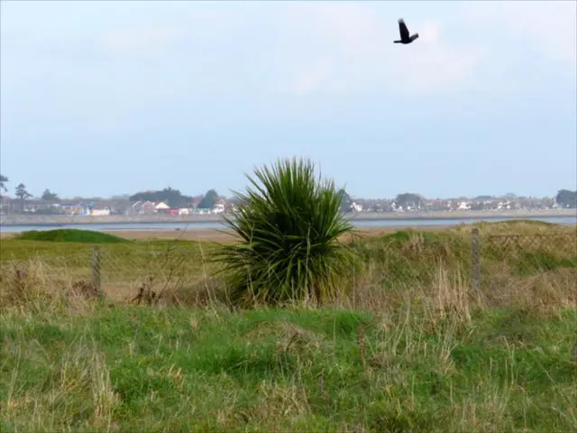 Creating a Wildlife Sanctuary in Your Own Backyard: Simple Steps for Attracting and Caring for...