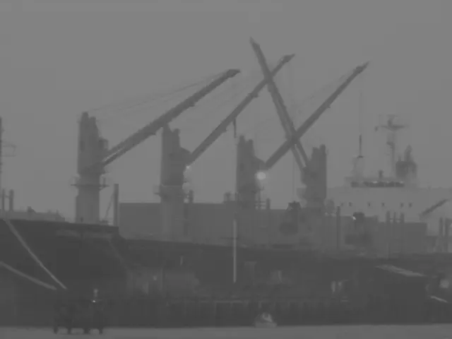 Increased frequency of norovirus outbreaks on board cruise ships