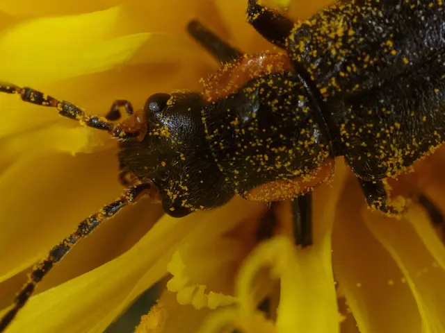 Effective and Genius Natural Methods for Permanently Deterring Pests from Your Garden