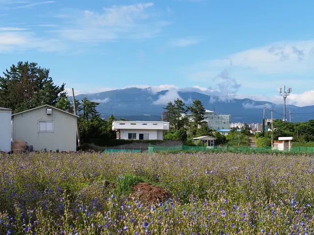 Affordable Solar Inverter Shake-Up: Growatt NOAH 2000 Loses Lead in Cost Comparison Competition