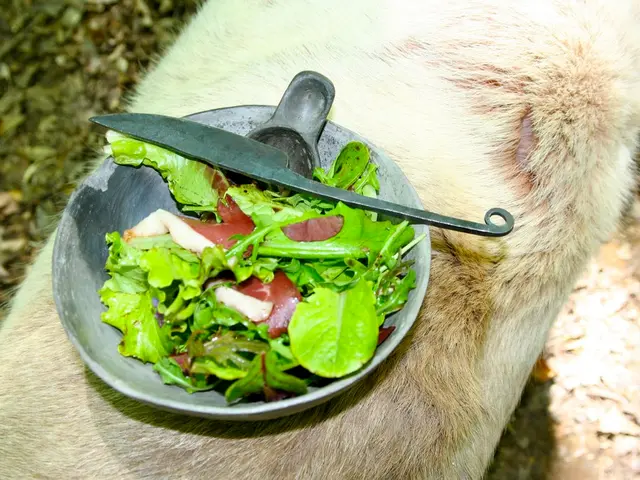 Diarrhea persistently: Root causes and potential remedies