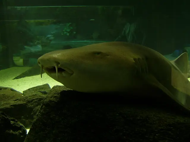 Exploring theNT Labs Marine Lab Test Kits: A Comprehensive Purchasing Guide