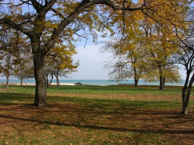 Unveiling Seattle's Hidden Coastal Spots: Beaches and Waterfront Parks