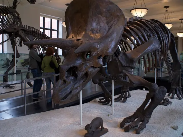 Ancient fossil discovered underground in a Denver dinosaur museum's car park, reminiscent of a...