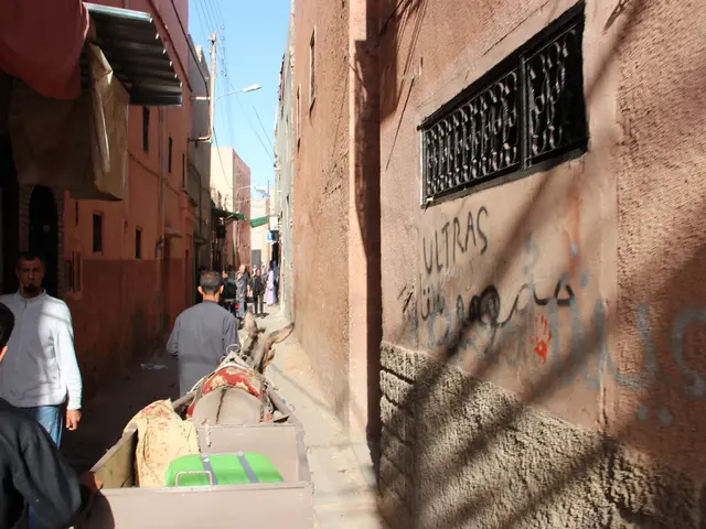 Consultation of the Commission on the proposed resolution for implementing the European Union's...