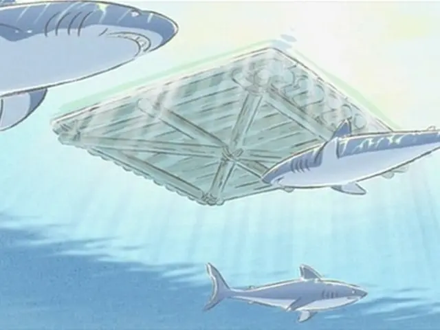 Interesting Shark Information for Children (Available in Printable Format)