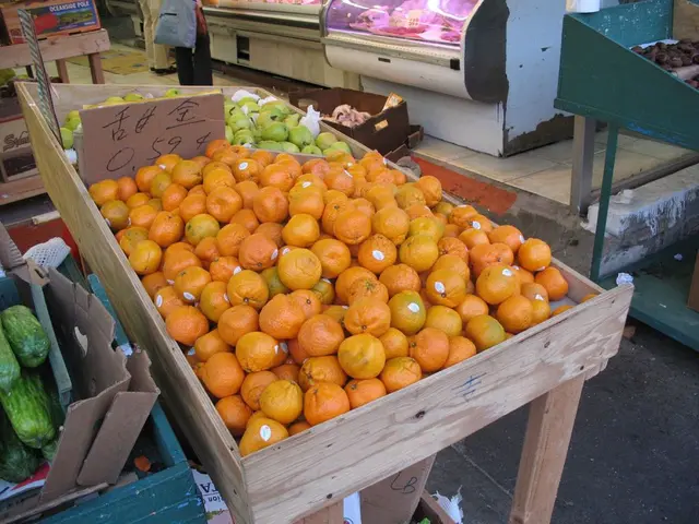 Argumentative debate unfolds regarding the contentious matter of the Baltic Island