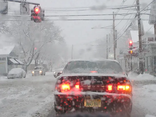 Potential Drawbacks of Modern Resin Driveways: A Comprehensive Overview