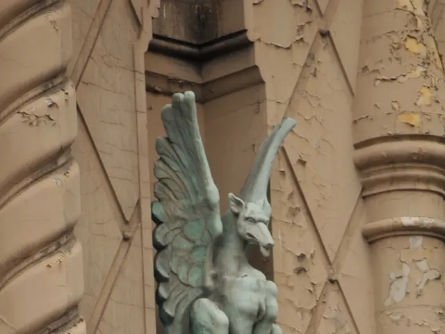 Zero Bearded Dragon Variations: An Examination of Colors and Shapes