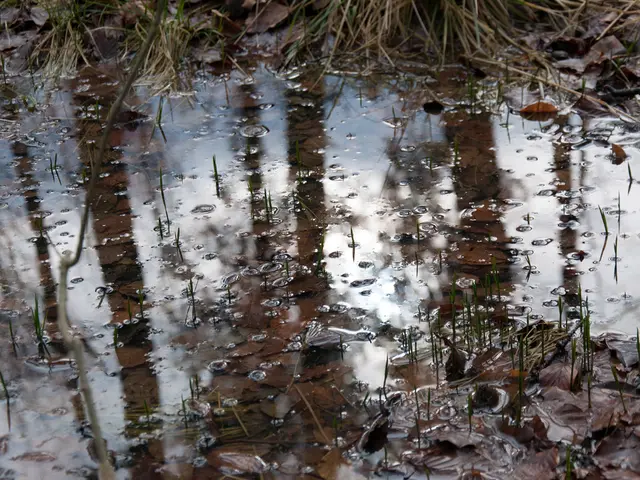 Contaminated Water with Germs Found in Buttstadt