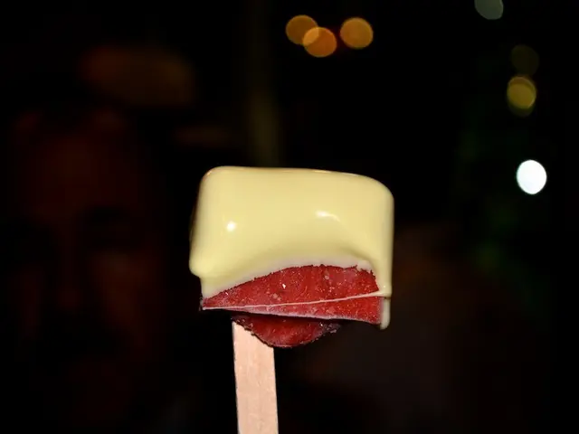 Spending 24 Hours in Amsterdam: A Guide