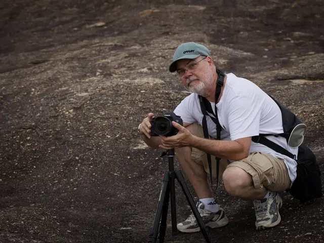 Foods aiding Pressure Ulcer healing: