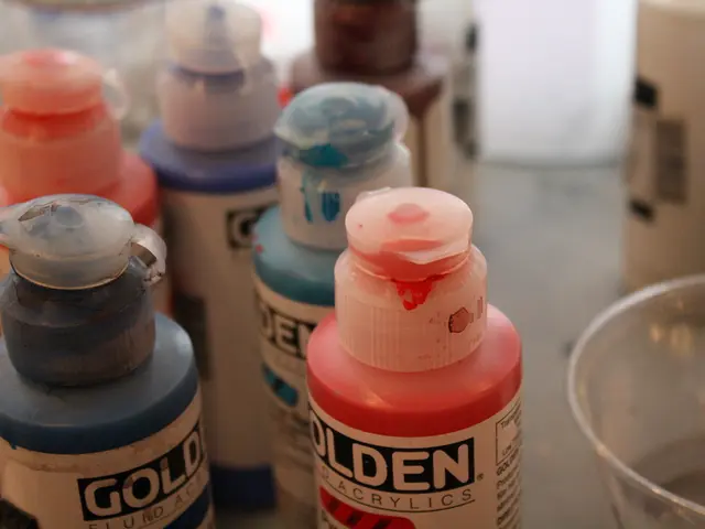 Top-Notch Probiotics for Females: Focusing on Intestinal, Vaginal, and General Wellness