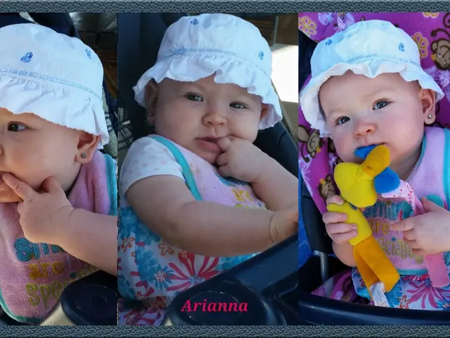 A rundown of exciting activities in Austin suitable for both children and adults alike