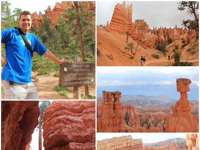 The Memory in Forests: The Limitations of Naturalness Alone