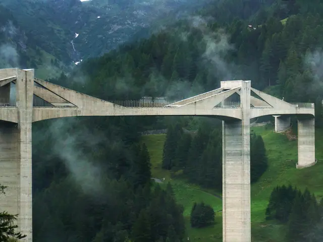 Daily Traffic Tripled on the Route Leading to the Baltic Sea