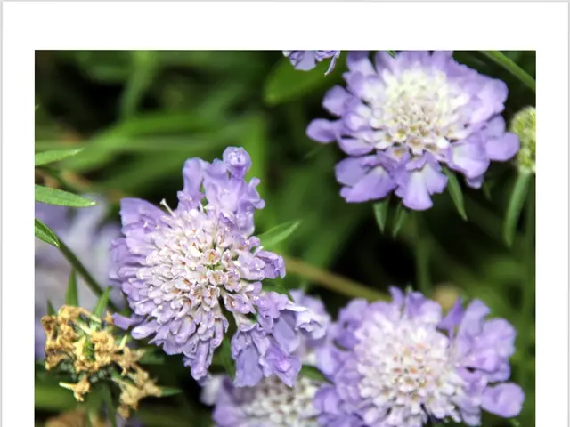 Picking Common Swedish Names for Infants