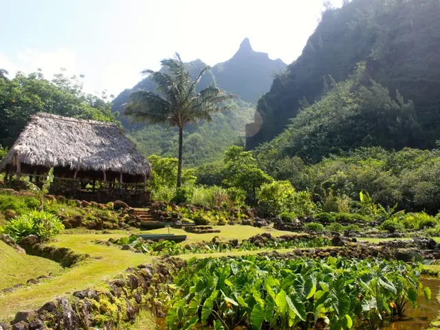 Yellowstone park visitor, a teenage hiker, experiences severe burns after venturing into a thermal...