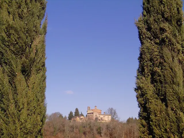 Star Wars was shot in this Enchanting UK Forest