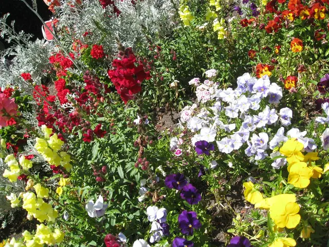 Top 10 Stunning Blooms Around the Globe