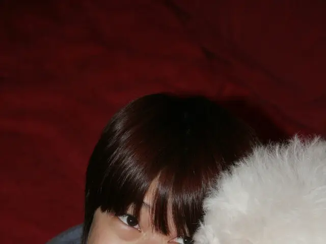 Animals Offering Emotional Assistance Could Aid in Your Mental Clarity Path