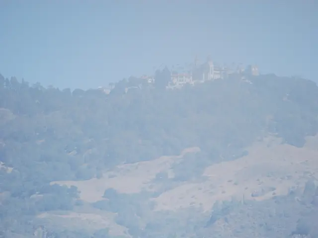 Seeking tranquility for your next getaway? Agritourism might just be the perfect solution