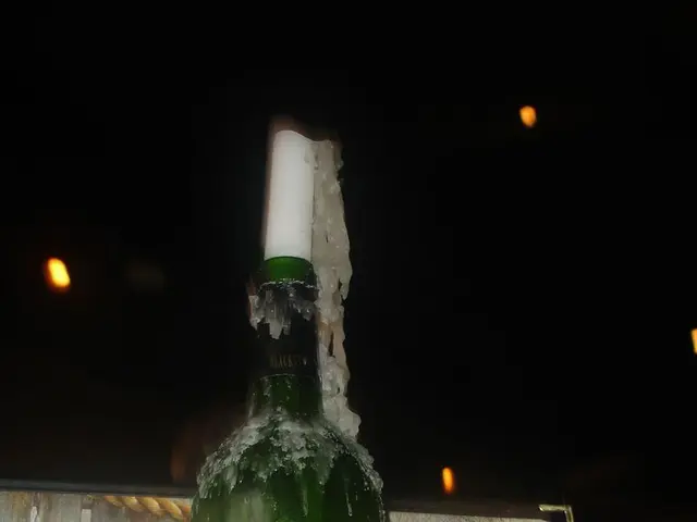 Guide to Organizing and Visualizing Your Upcoming Journey with 10 Handy Tools