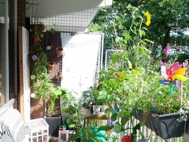 Affordable Transformations for Your Backyard: 24 Innovative Ideas to Enhance Your Outdoor Living...