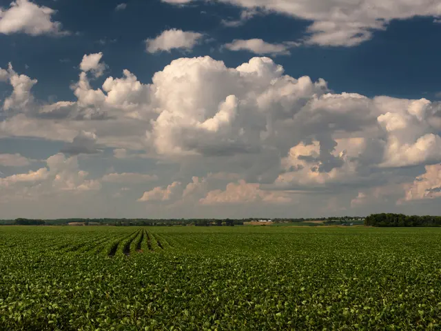 The Imperative for a Sustainable Approach to Ukraine's Rebuilding