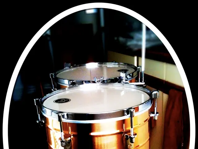 School hosts interactive workshop featuring Bullfrog synthesizer equipment from Erica Synths, led...