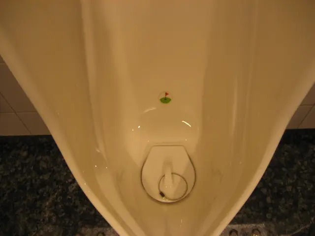 Diabetes often triggers increased urination frequency due to high glucose levels leading to an...