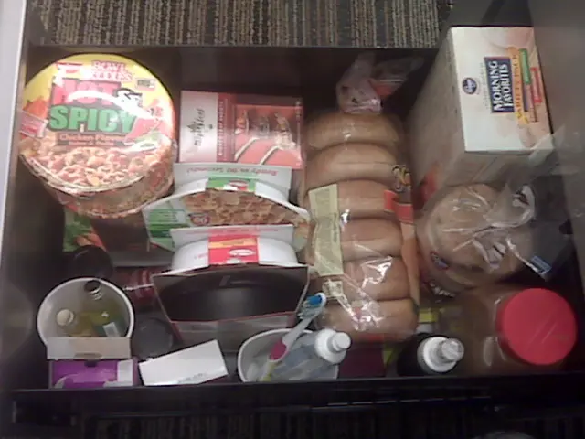 Essential Travel Gear for All Journeys: Flight, Car, or Public Transportation