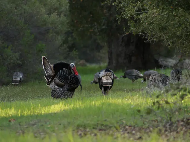 Exploring the Rich Heritage of Grand Turk's Culture