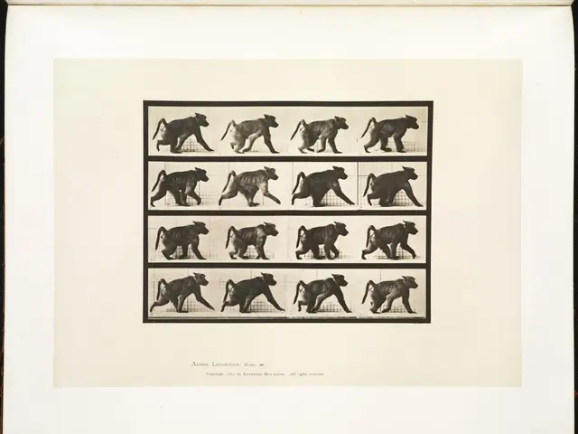 Investigating Animal Intelligence: The Possibility of Decoding Animal Thoughts for Potential Alien...