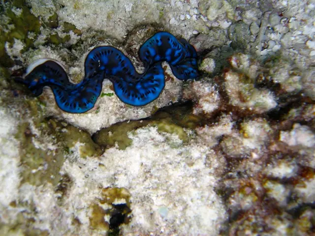 Commemorating the Enigma of the Deep Sea's Sea Serpent: A Day of Exploration and Legends