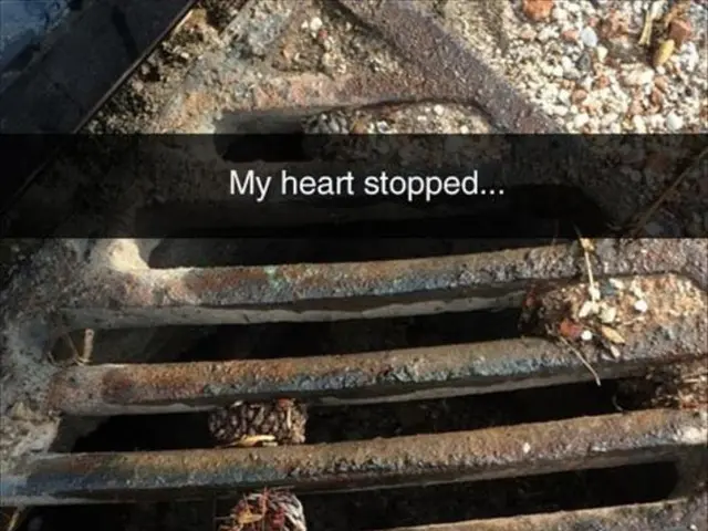 Heart Valve Swap-Out: Procedures, Risks, and Further Details