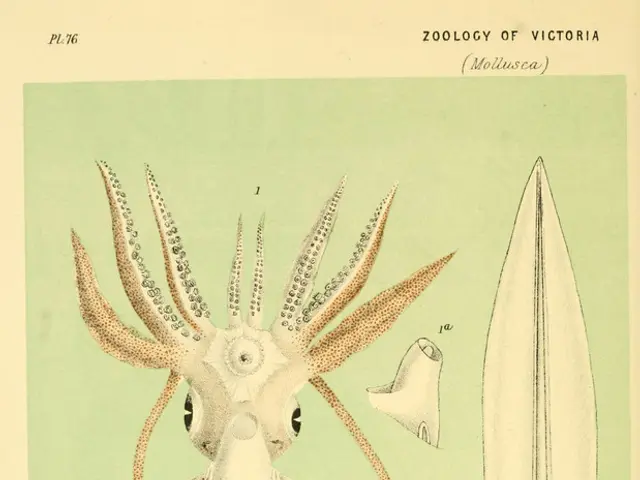 Unbelievable Ocean Dwellers: An Exploration of Surreal Marine Life